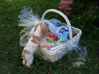 Christmas basket willow